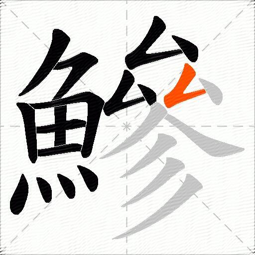 鰺