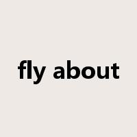 fly about是什么意思