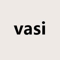 vasi是什么意思