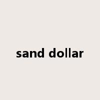 sand dollar是什么意思