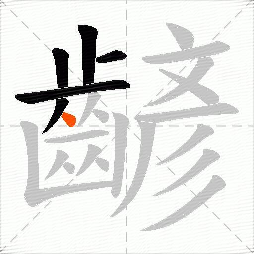齴