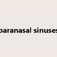 paranasal sinuses是什么意思