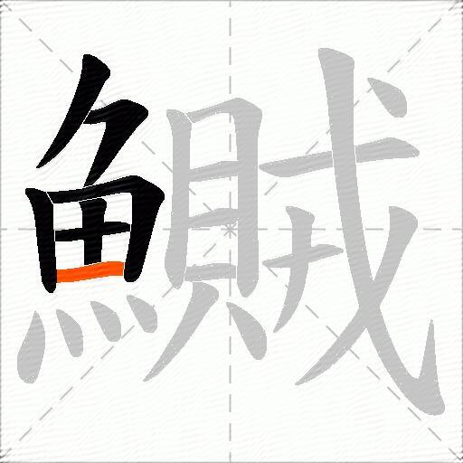鱡
