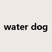 water dog是什么意思