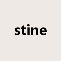 stine是什么意思