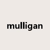 mulligan是什么意思