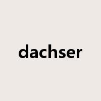 dachser是什么意思