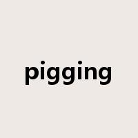 pigging是什么意思