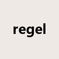 regel是什么意思