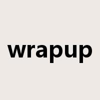 wrapup是什么意思