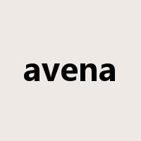 avena是什么意思