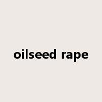 oilseed rape是什么意思