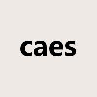 caes是什么意思