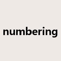 numbering是什么意思
