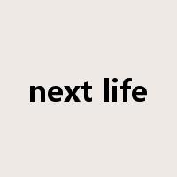 next life是什么意思