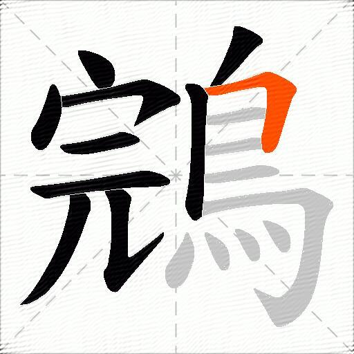 鵍