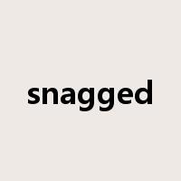 snagged是什么意思