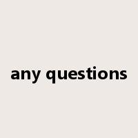 any questions是什么意思