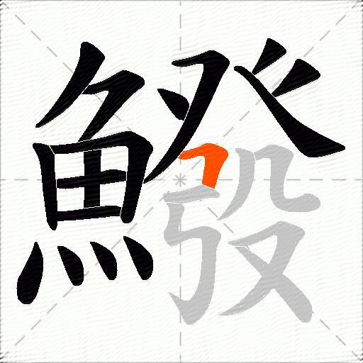 鱍