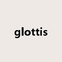 glottis是什么意思