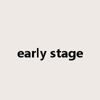 early stage是什么意思