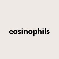 eosinophils是什么意思