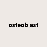 osteoblast是什么意思