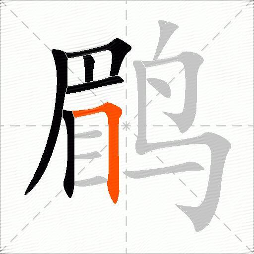 鹛