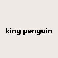 king penguin是什么意思
