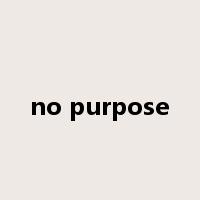 no purpose是什么意思