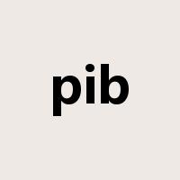 pib是什么意思