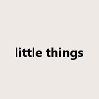 little things是什么意思
