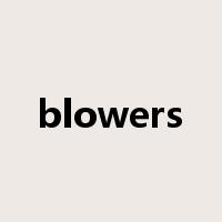 blowers是什么意思