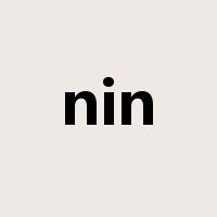nin是什么意思