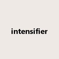 intensifier是什么意思