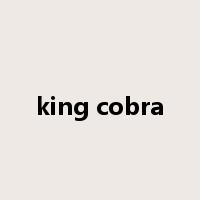 king cobra是什么意思