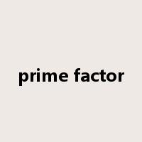 prime factor是什么意思
