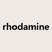 rhodamine是什么意思