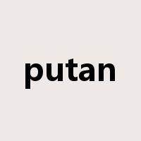 putan是什么意思
