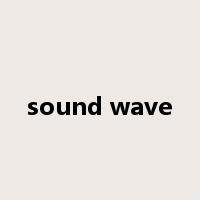 sound wave是什么意思