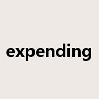 expending是什么意思