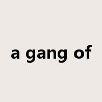 a gang of是什么意思