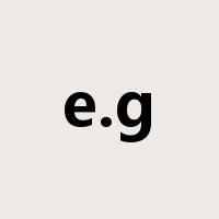 e.g是什么意思