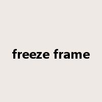 freeze frame是什么意思