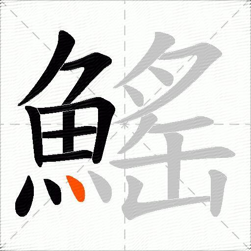 鰩