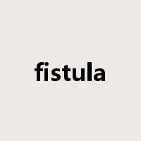 fistula是什么意思