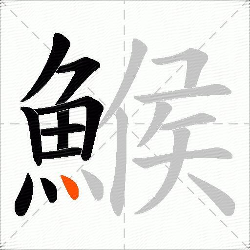 鯸