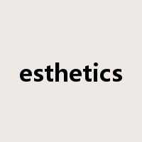 esthetics是什么意思