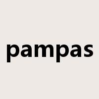 pampas是什么意思