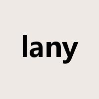 lany是什么意思